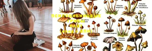 кокс Горняк