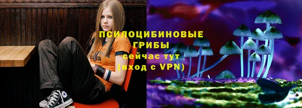 дмт Алзамай