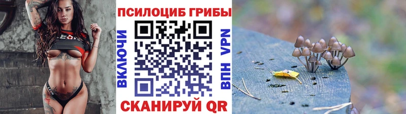 Галлюциногенные грибы Magic Shrooms  закладки  Павловская 